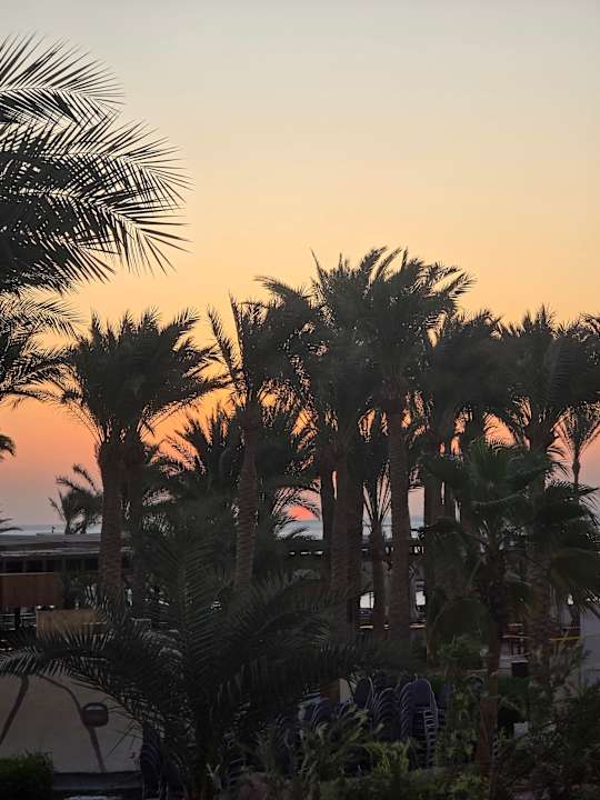 Ausblick Giftun Azur Resort