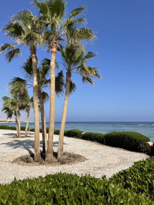 Ausblick Mövenpick Resort El Quseir
