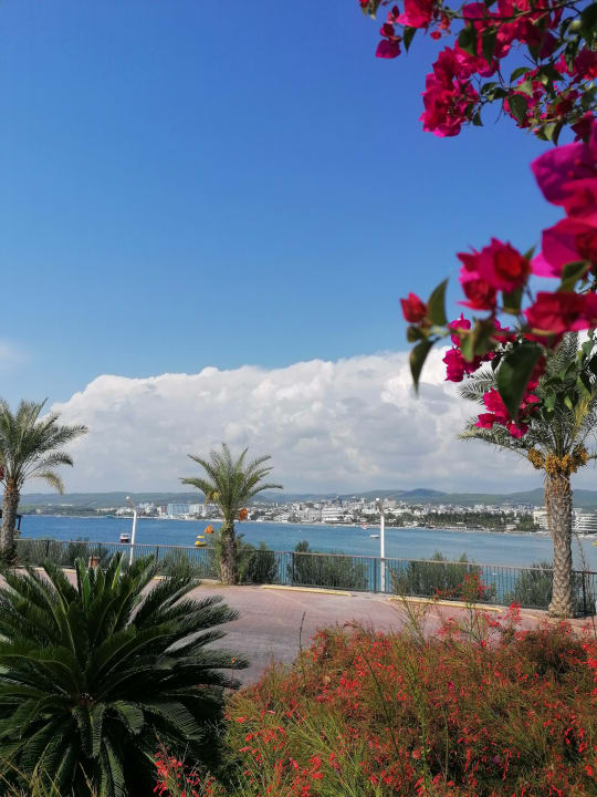 Außenansicht Gold Island Selected