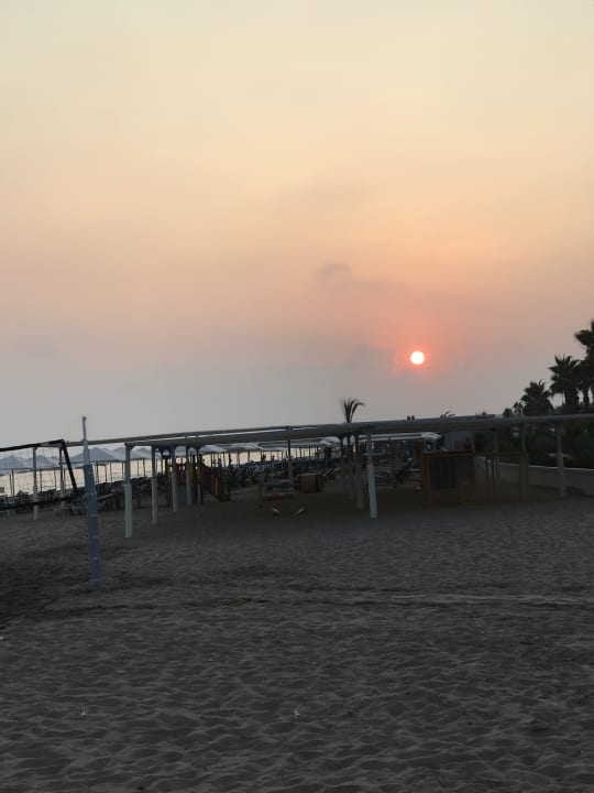 Strand Paloma Finesse