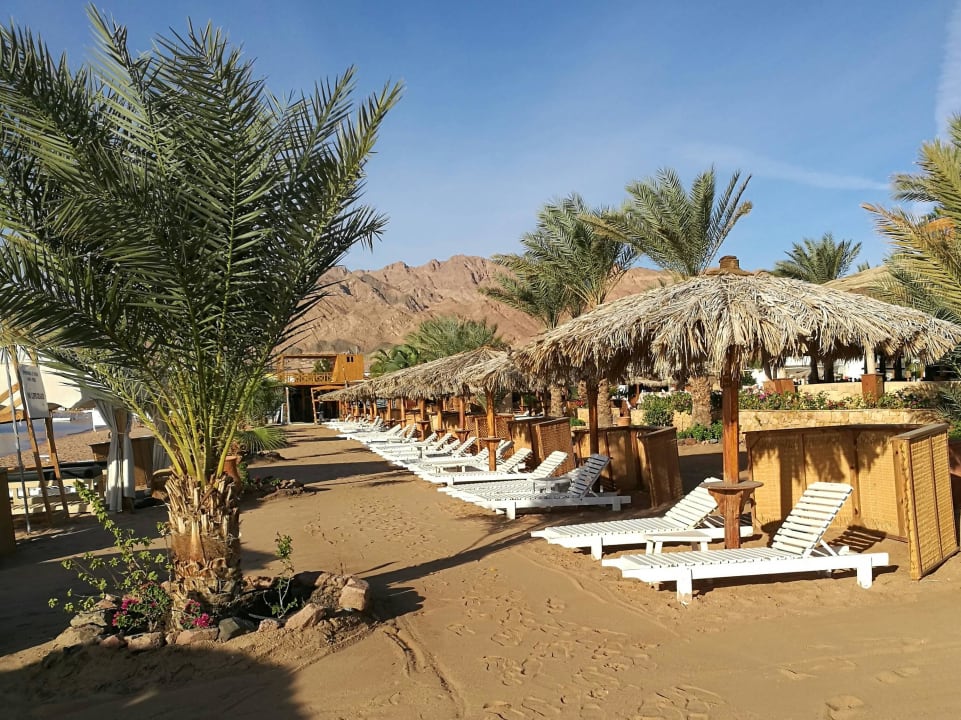 Immer gepflegt - auch bei wenigen Gästen. Swiss Inn Resort Dahab