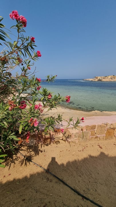 Ausblick Steigenberger Coraya Beach - Adults only