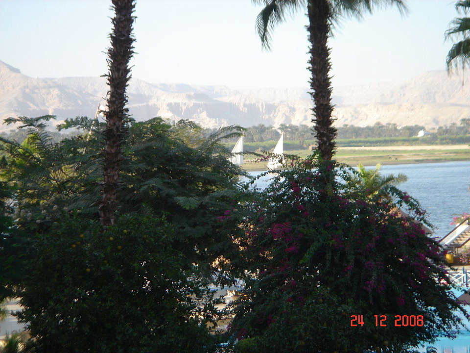 View from junior suite Pyramisa Hotel Luxor