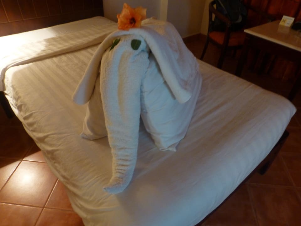 Tagesdekoration Three Corners Sea Beach Resort