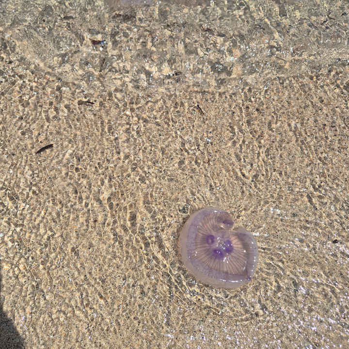 Strand Casa Mare Resort