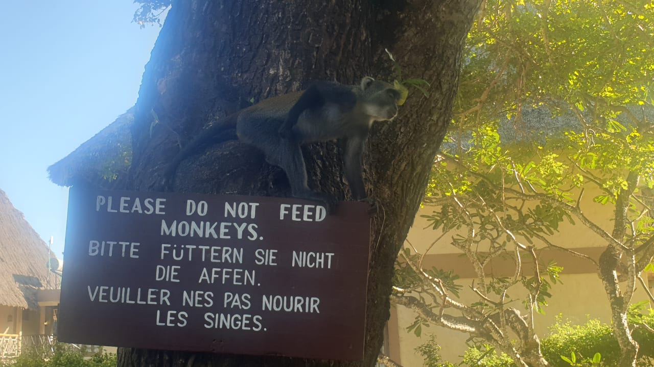 Sonstiges Neptune Village Beach Resort & Spa