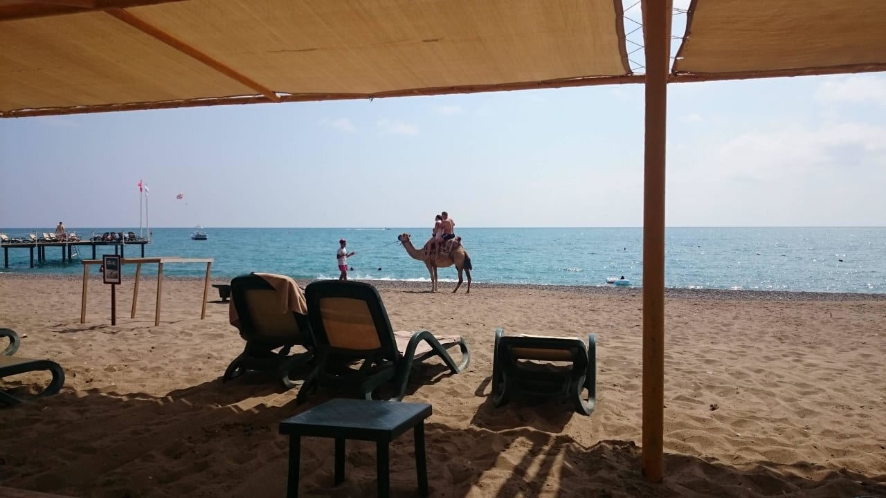 Hoteleigener Strand Sherwood Dreams Resort