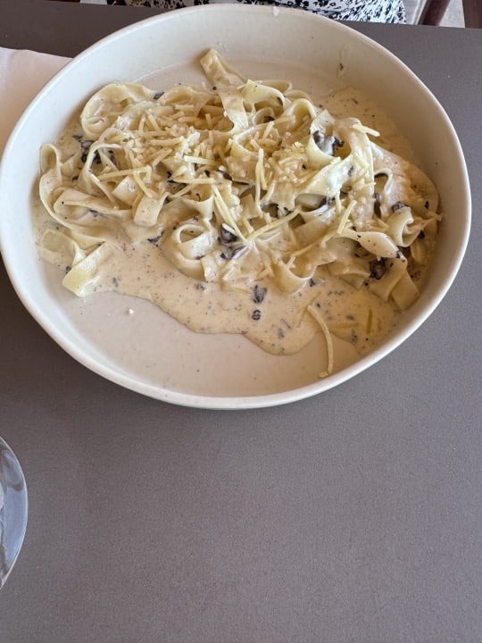 Gastro Anda Barut Collection