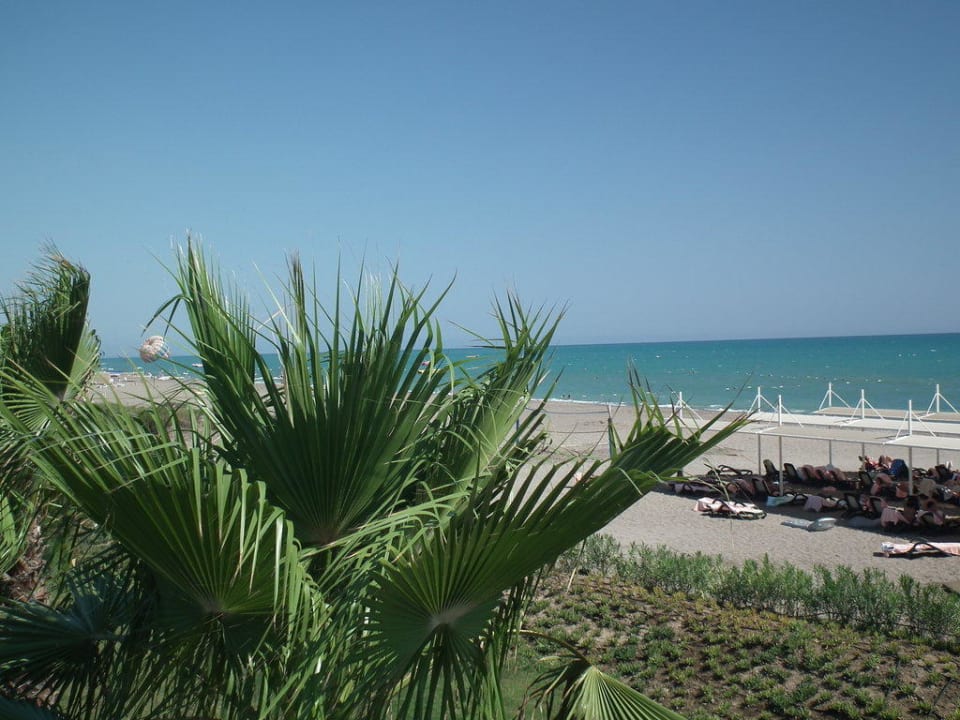 Der Strand von der Brücke aus gesehen Sherwood Dreams Resort