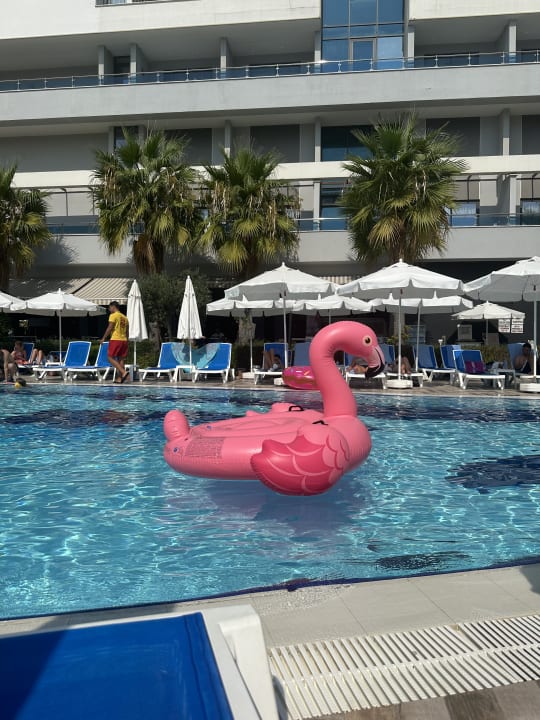 Pool Numa Bay Exclusive Hotel