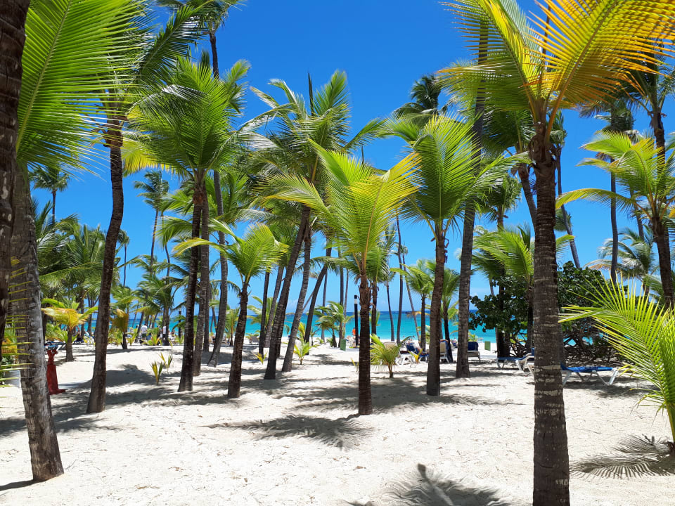 Strand Hotel Riu Palace Punta Cana