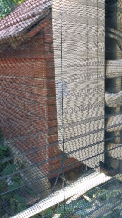 Zimmer Can Garden Beach