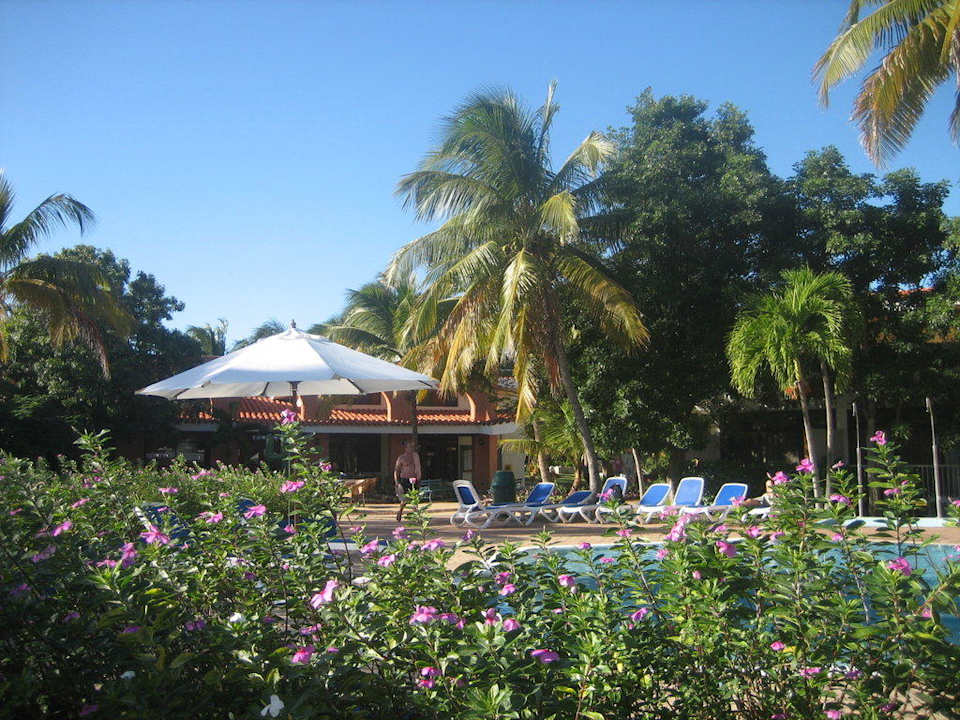 Zweiter Pool mit Blick auf eine der Bars Hotel Roc Barlovento