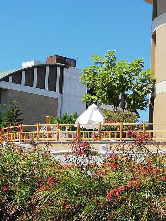 Ausblick TUI BLUE Xanthe