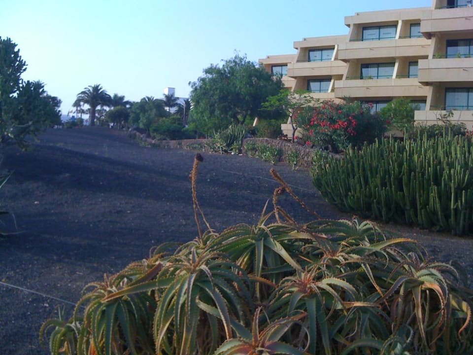 Garten und Gebäude Dreams Lanzarote Playa Dorada Resort & Spa