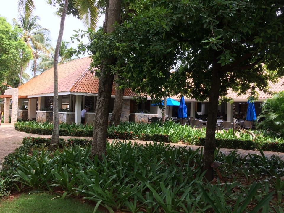 Gartenanlage Wyndham Alltra Samana