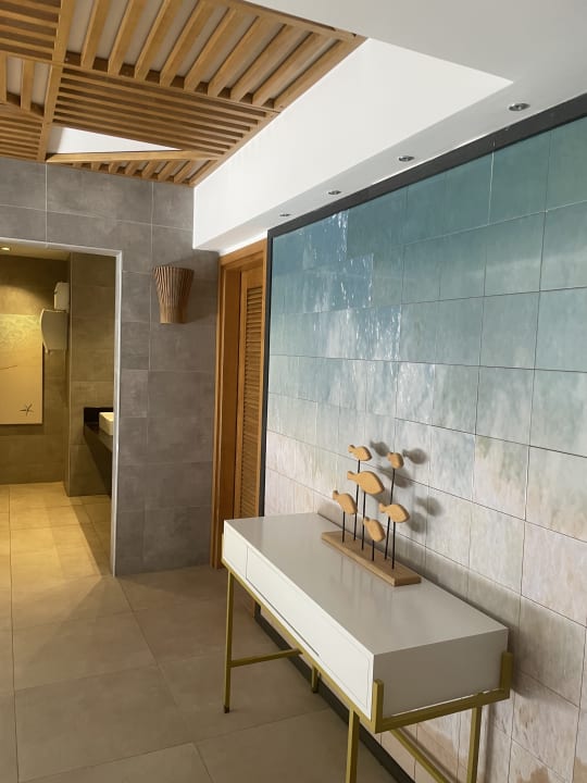 Sonstiges Arum Barut Collection