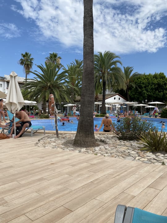 Pool Alcudia Garden Aparthotel