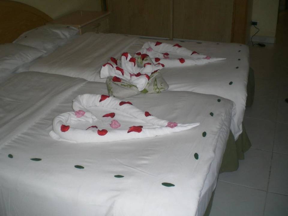 Wie jeden Morgen Ghazala Gardens