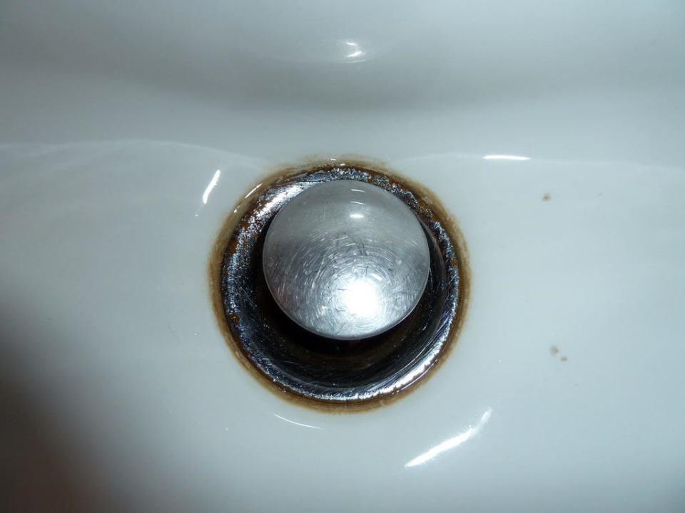 Waschbeckenabfluß Hotel Ahl Meerkatzen