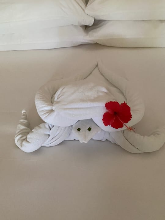 Zimmer Komandoo Island Resort & Spa - Adults only