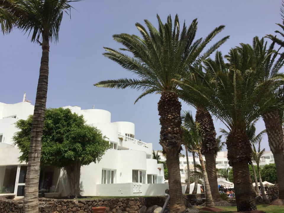 Garten Hipotels La Geria