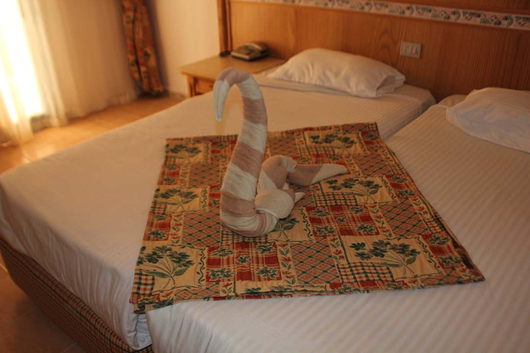 Наш номер Pickalbatros Alf Leila Wa Leila Resort - Neverland Hurghada