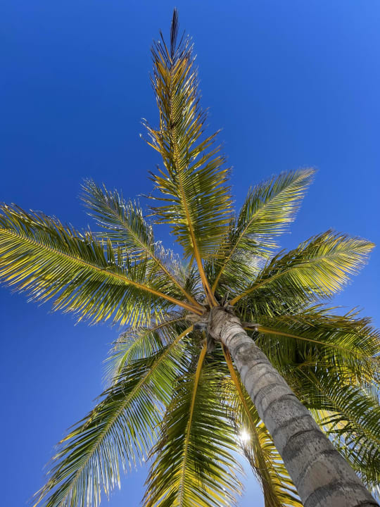 Strand Meeru Maldives Resort Island