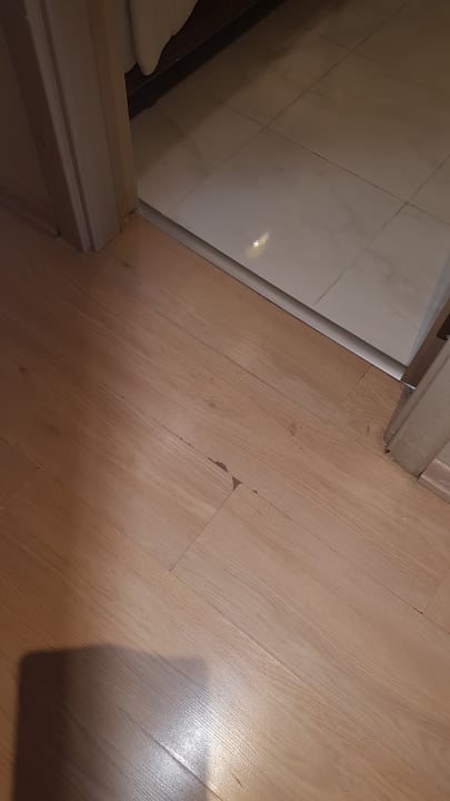 Zimmer Kaya Artemis Resort