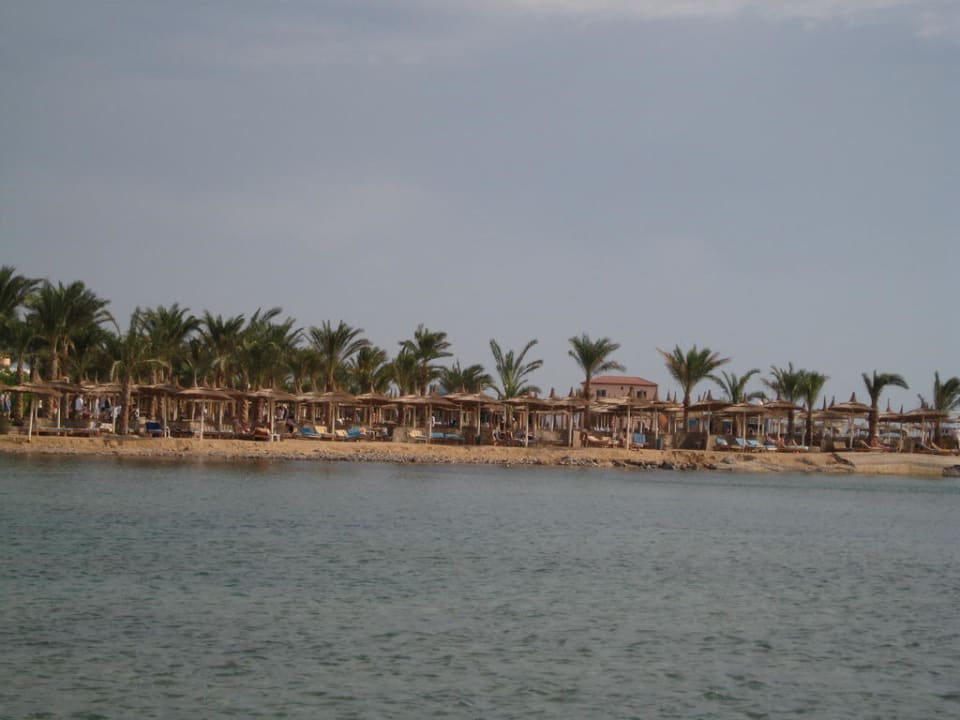 Blick vom Steg zum Strand Pickalbatros Palace Resort