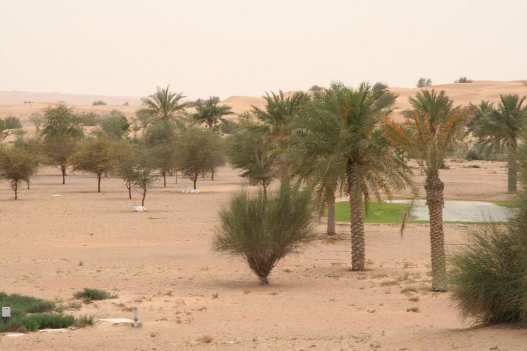 Al Maha, Oryxantilopen Al Maha, A Luxury Collection Desert Resort & Spa