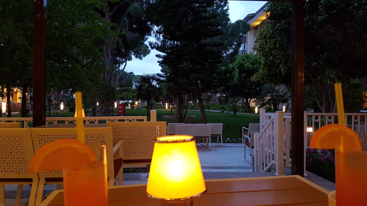 Sonstiges Papillon Ayscha