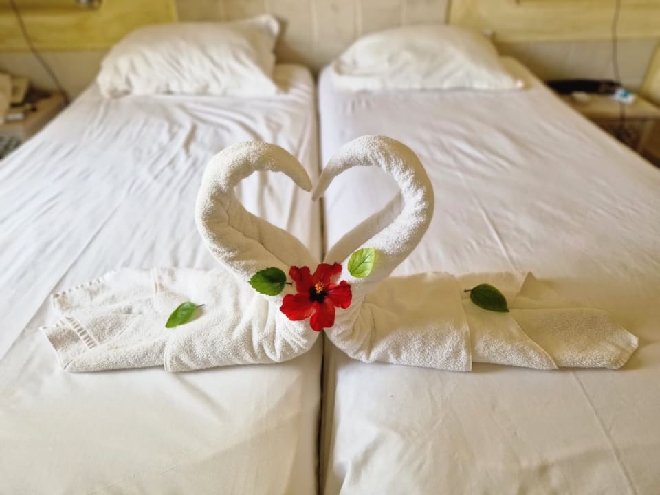 Zimmer Les Quatres Saisons & Thalasso Djerba