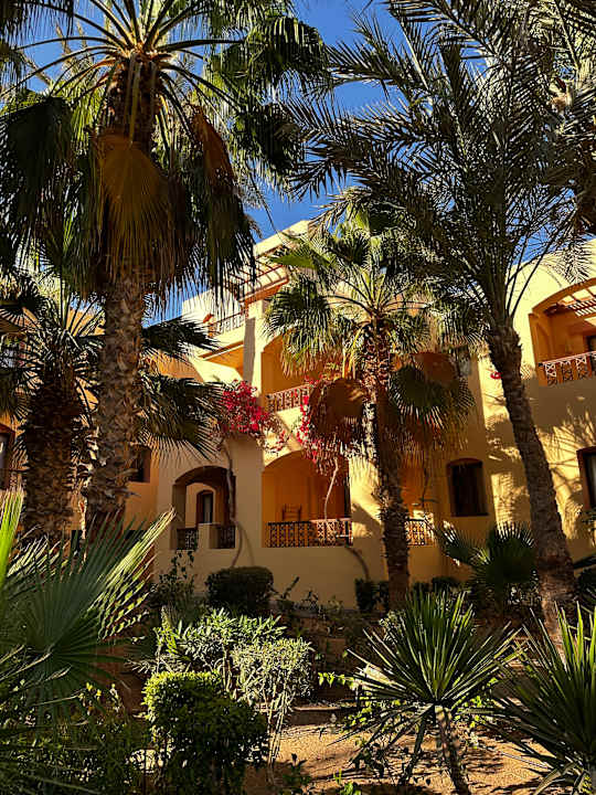 Gartenanlage Steigenberger Coraya Beach - Adults only