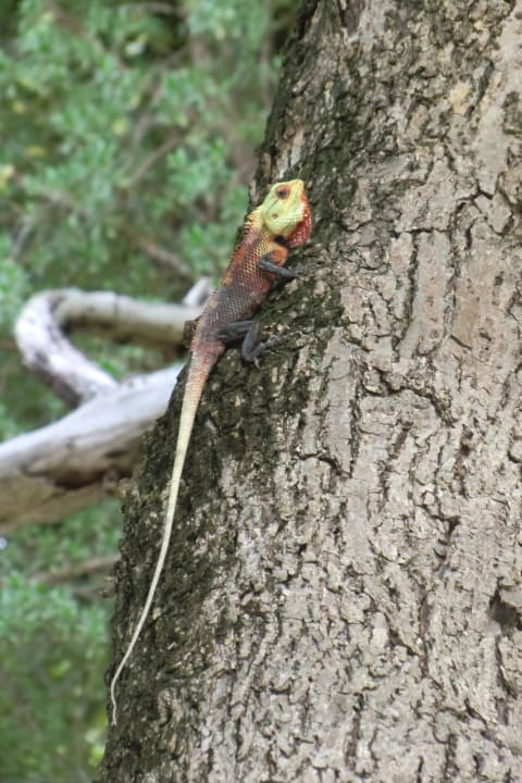 Echse Adaaran Select Hudhuran Fushi - Premium All Inclusive