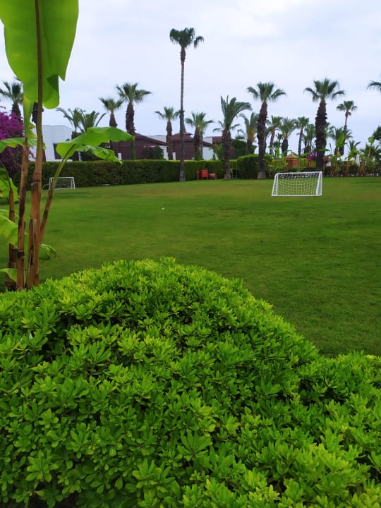 Sport & Freizeit Emelda Sun Club