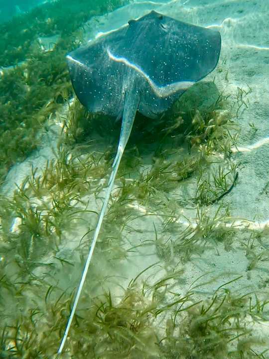 Strand Jawakara Islands Maldives