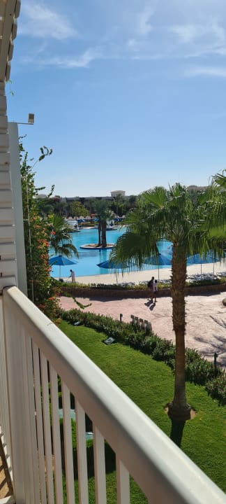 Ausblick Desert Rose