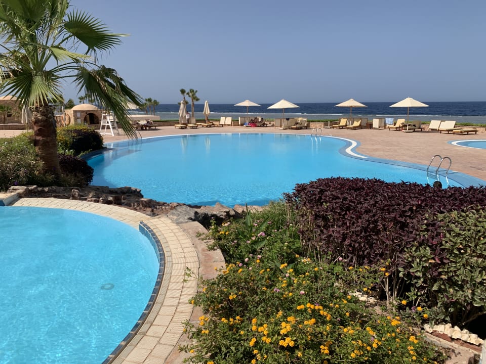 Pool Mövenpick Resort El Quseir