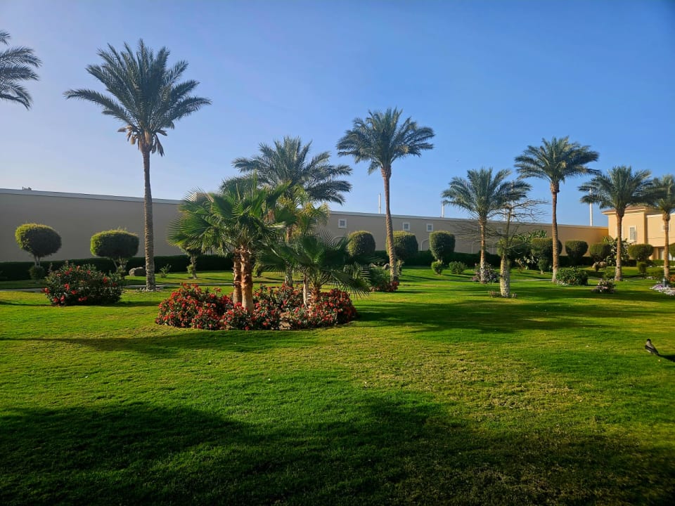 Gartenanlage JAZ Aquamarine Resort