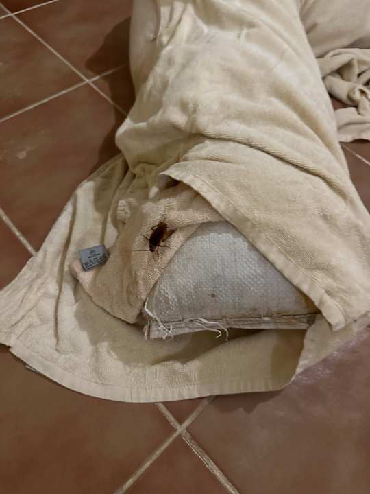 Sonstiges Hotel Riu Karamboa