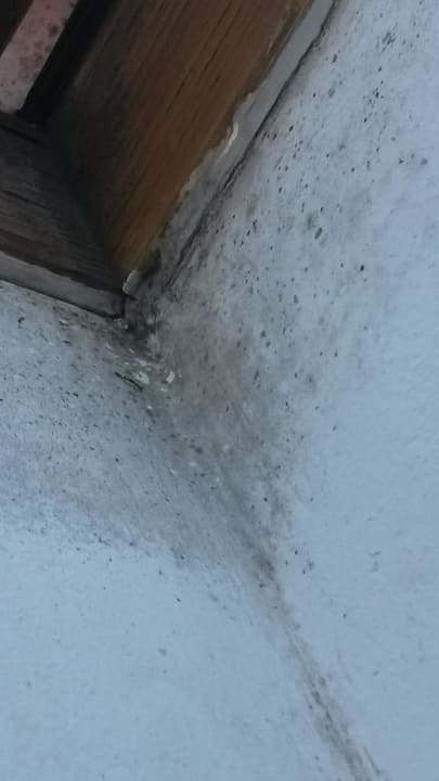 Schimmel an den Dachfenstern Terme Banovci - Hotel Zeleni Gaj