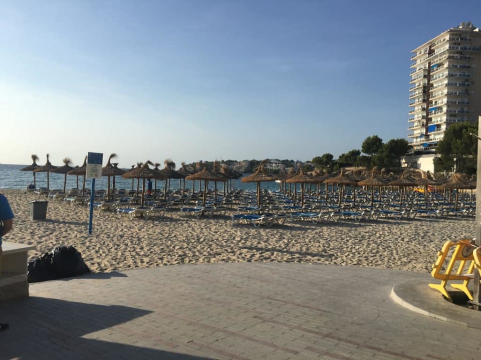 Plaża Globales Palmanova Palace