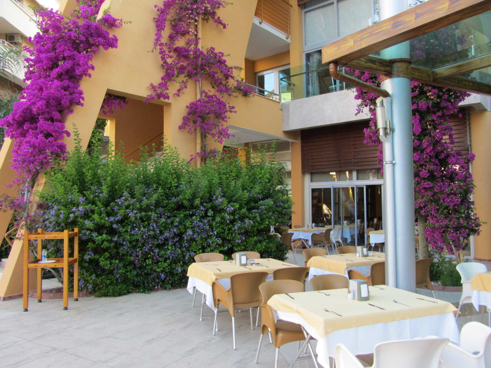 Sitzgelegenheit draussen Alaiye Resort & Spa