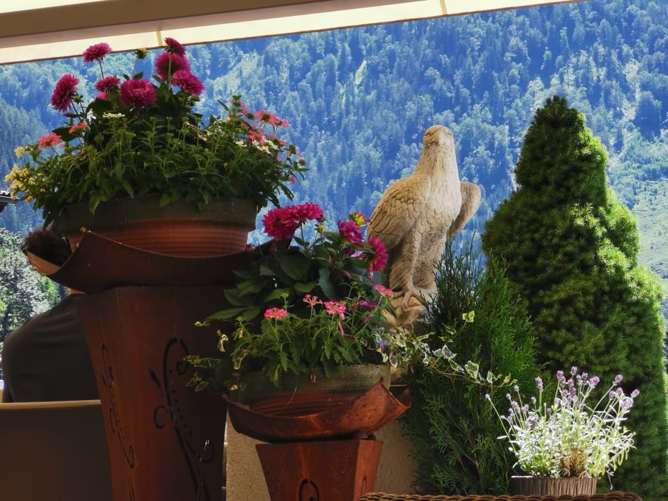 Sonstiges Aktivhotel Alpendorf