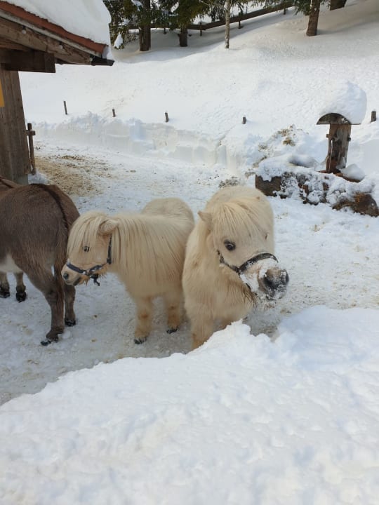 Sonstiges Oberjoch - Familux Resort
