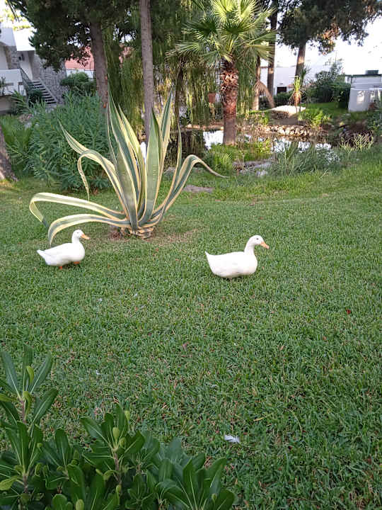 Sonstiges Aldiana Club Rocca Nettuno Calabria