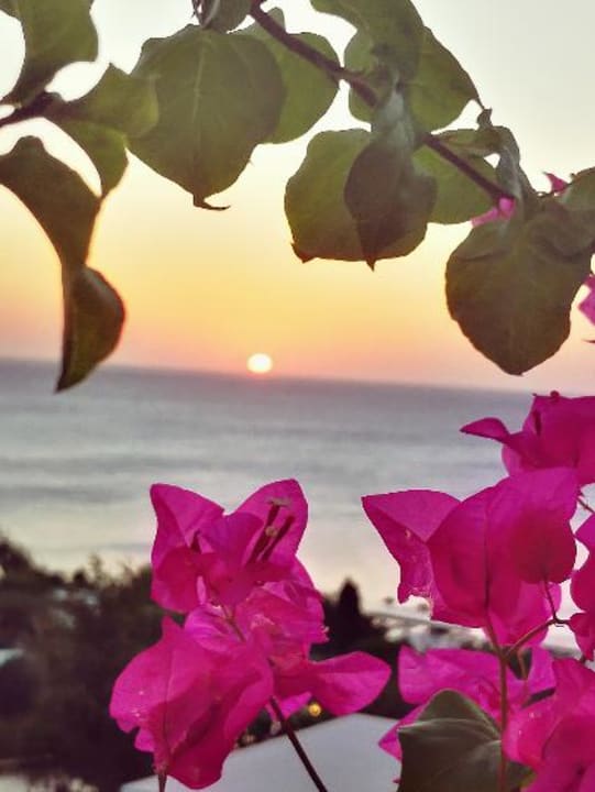 Ausblick Atrium Palace Thalasso Spa Resort & Villas