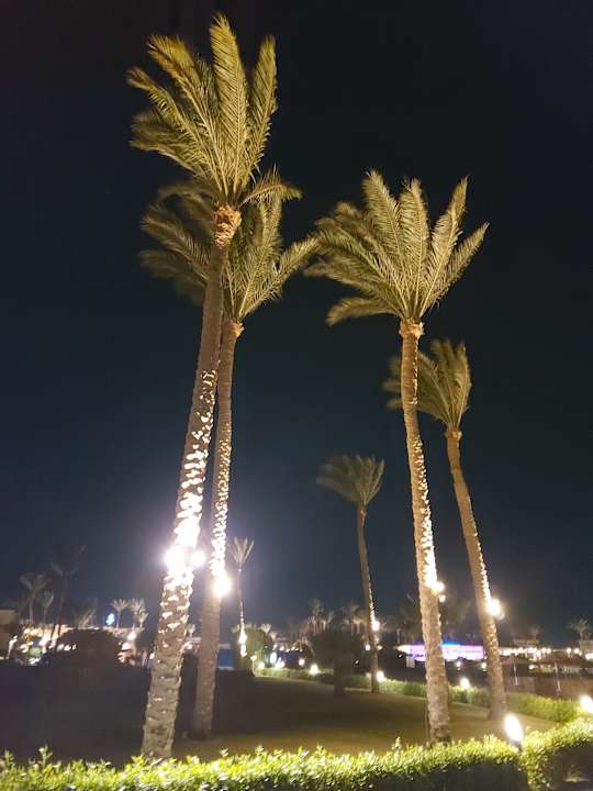 Gartenanlage Cleopatra Luxury Resort Makadi Bay