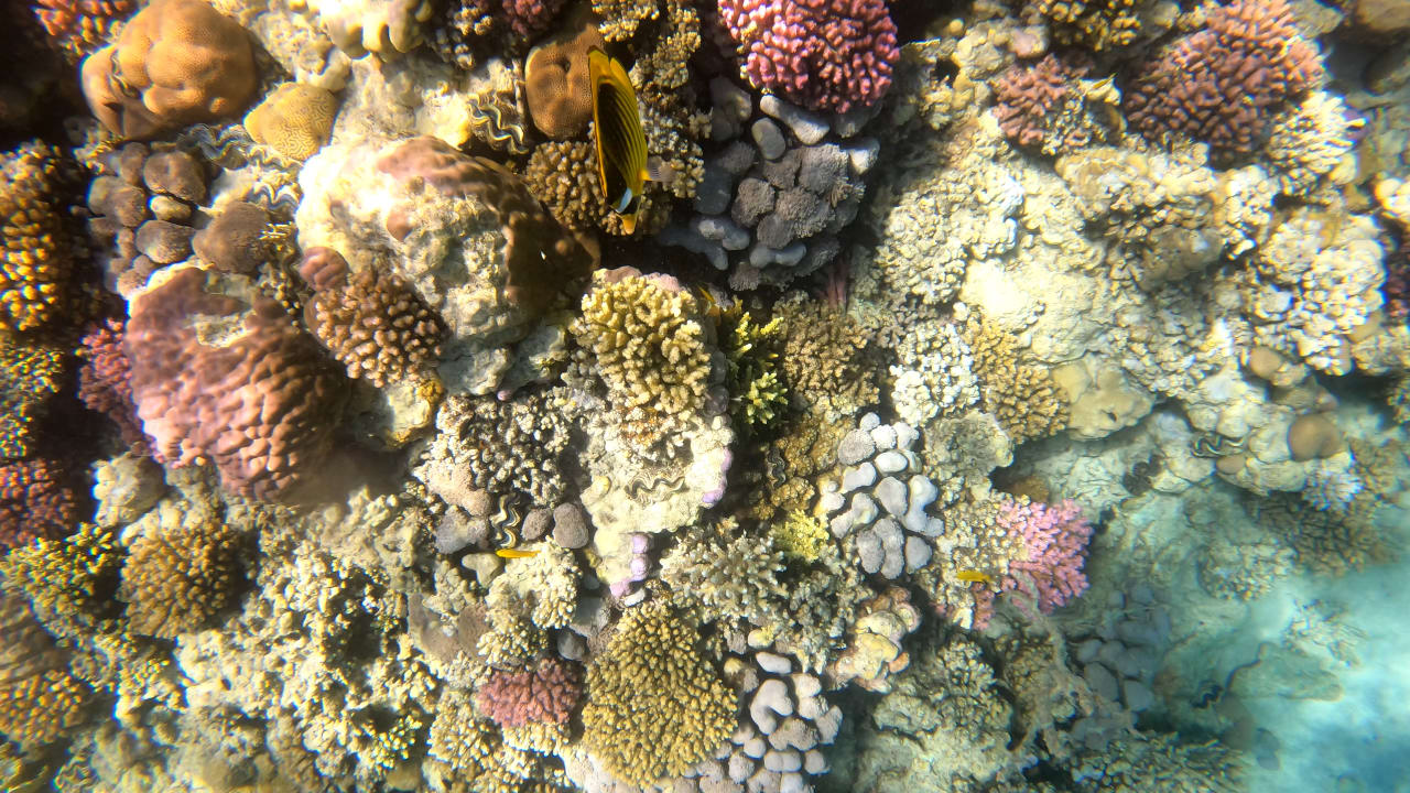 Sport & Freizeit Makadi Spa - Adults only